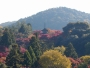 20021117_1356 Kiyomizu-dera temple.JPG