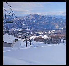 skis.jpg